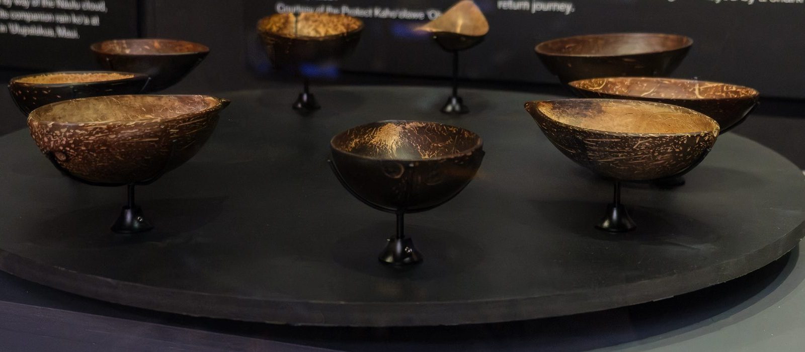 Eight contemporary ʻapu ʻawa on display in the case.