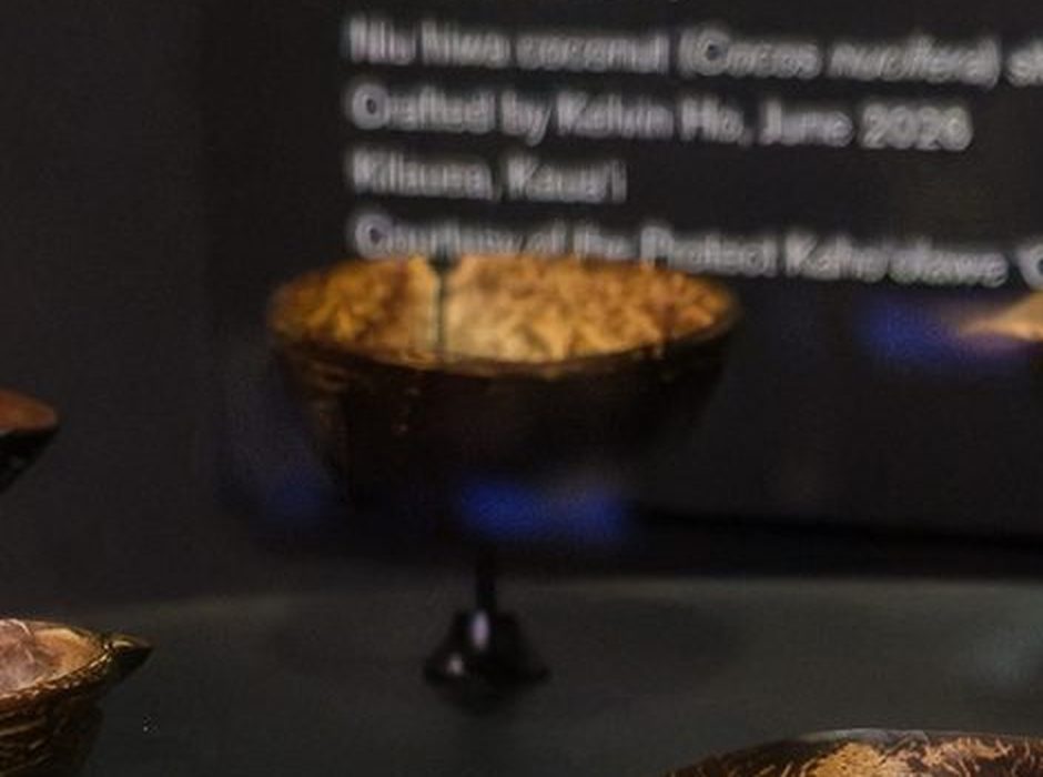 ʻApu ʻawa on display in the case.