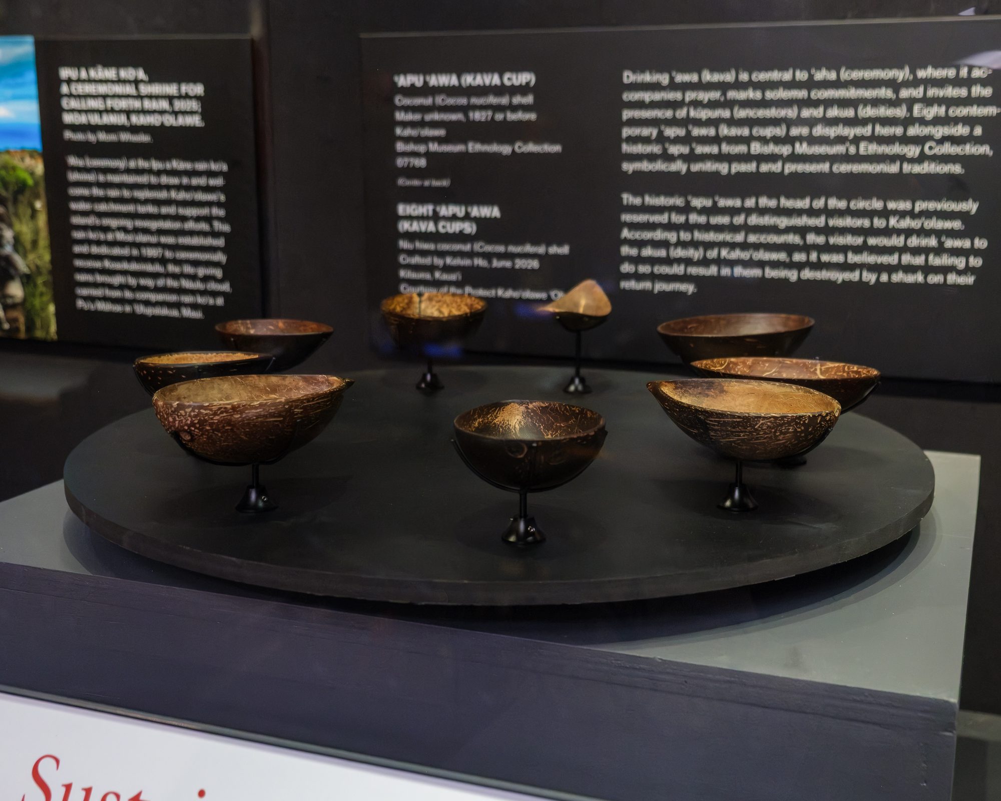 ʻApu ʻawa arranged in a circle on a round black platform.
