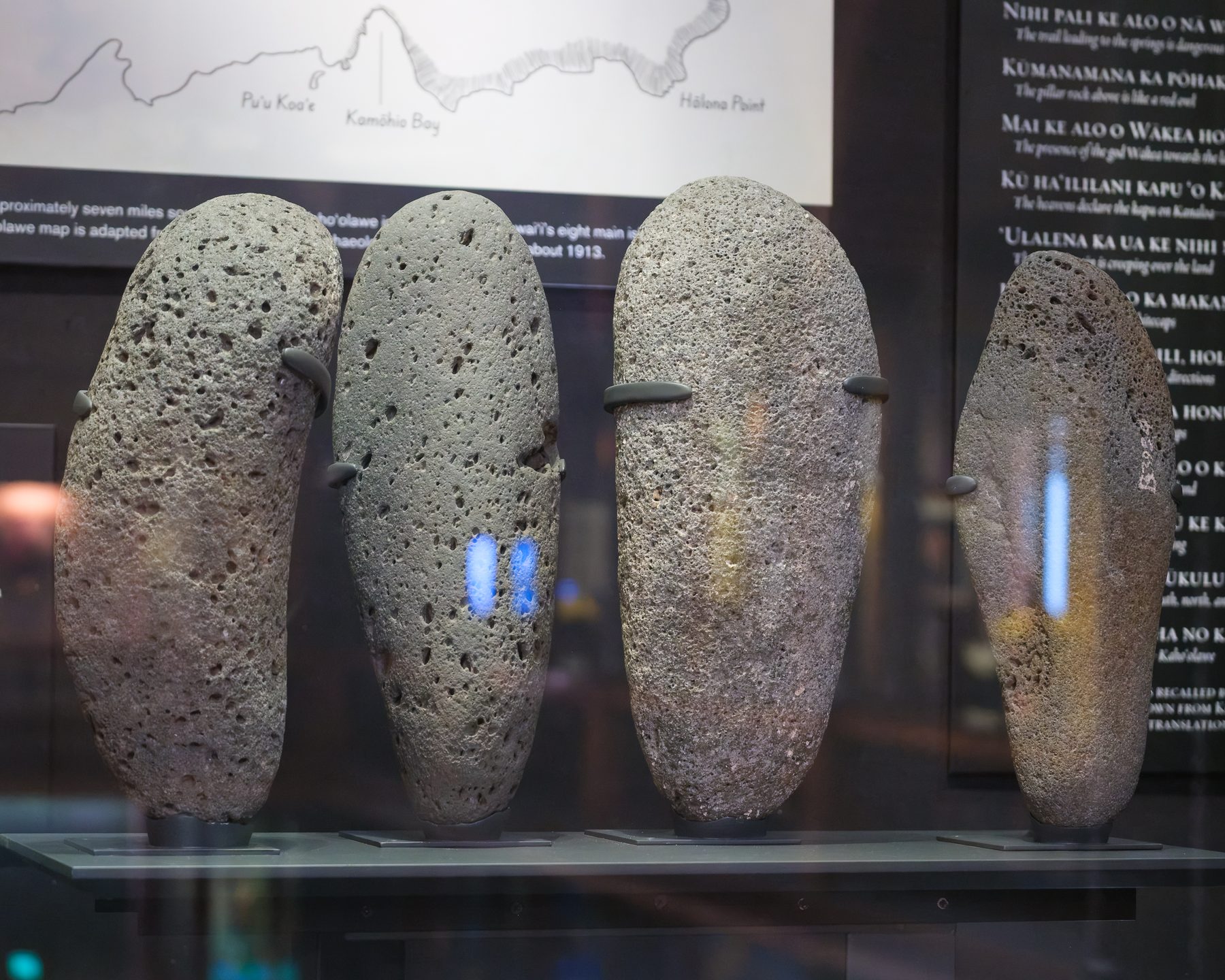 Kūʻula stones on display in the case.